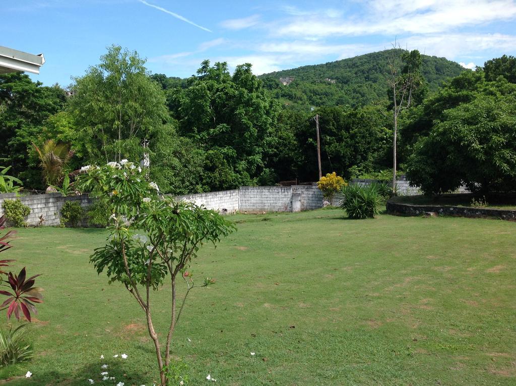 Chillax On Our Farm Ocho Rios