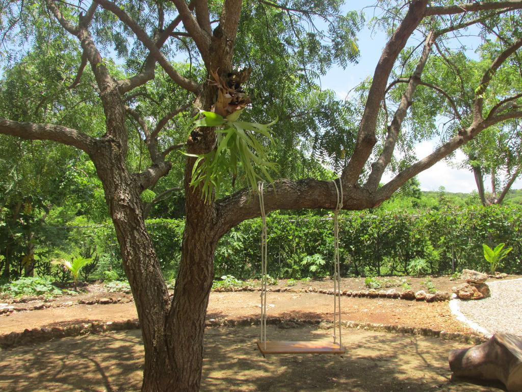 El Mirador Al Mar Bed & Breakfast Sosua