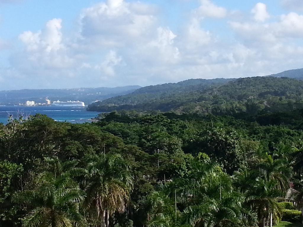 One Luxe Jamaica With Private Pool, Modern Interior And Secluded * Ocho Rios