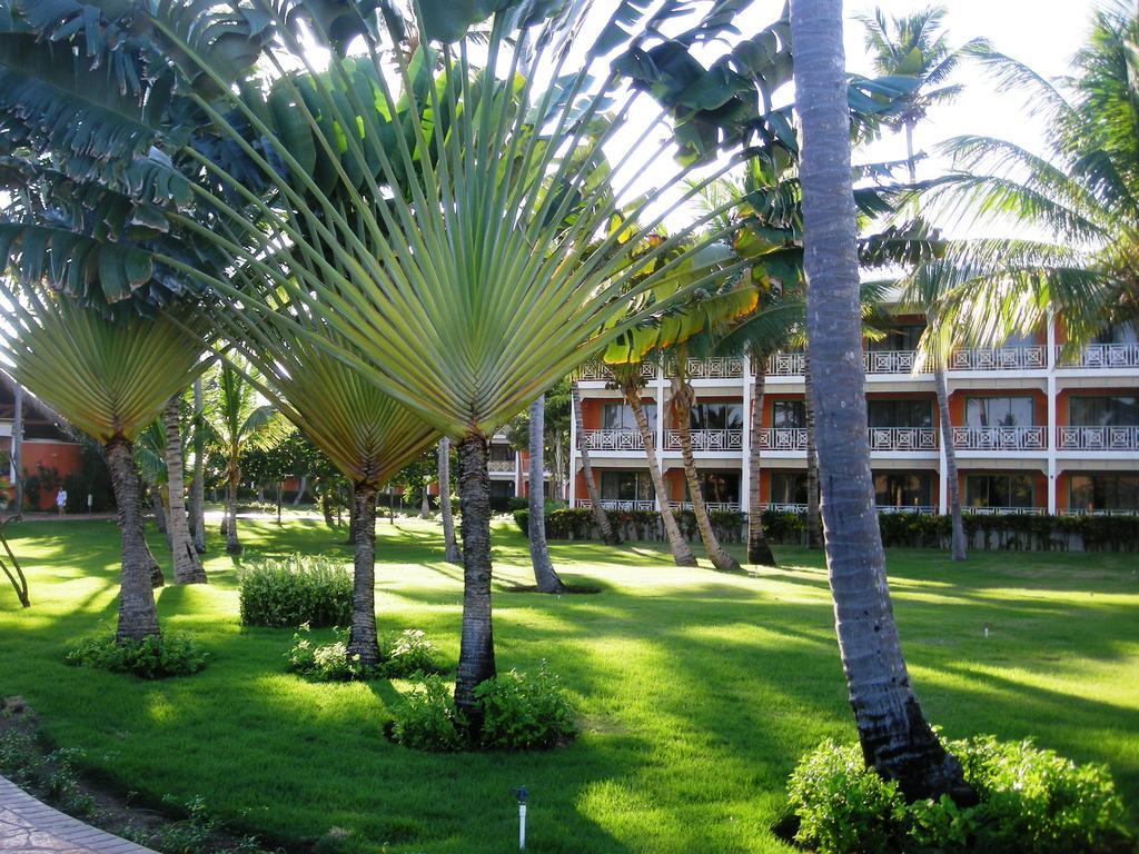 Resort Vik Arena Blanca Punta Cana