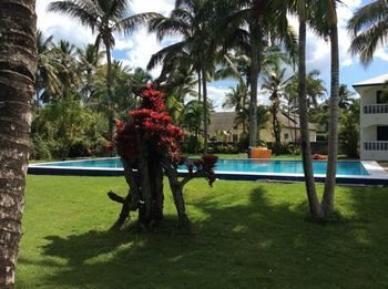 Nathalia Vip Hotel Cabarete