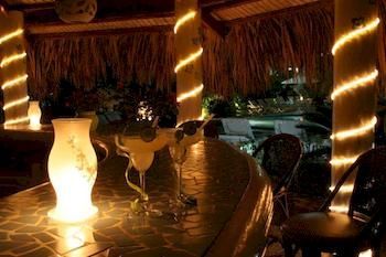The Coconut Palms