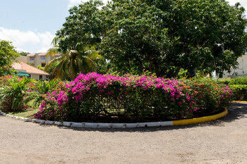 Moonlight Apartment Montego Bay
