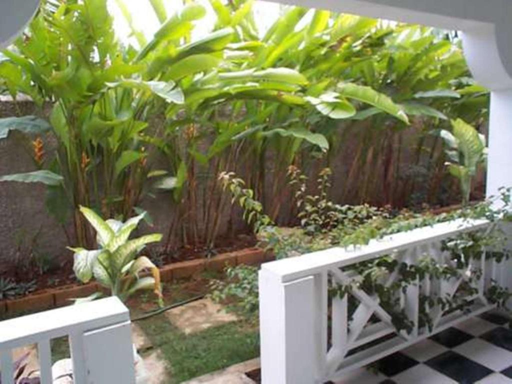 Willowgate Hotel Negril