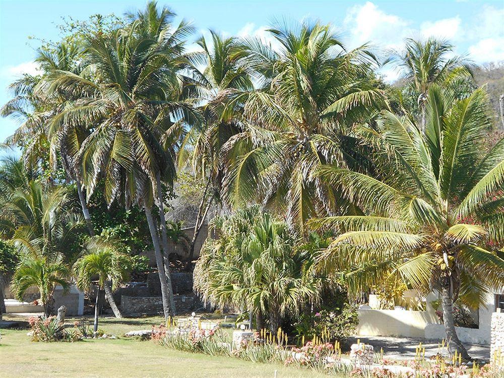 Hotel El Quemaito - Luxury Oceanfront Retreat