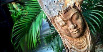 Bamboo Bonaire By Boutique Bonaire Unique