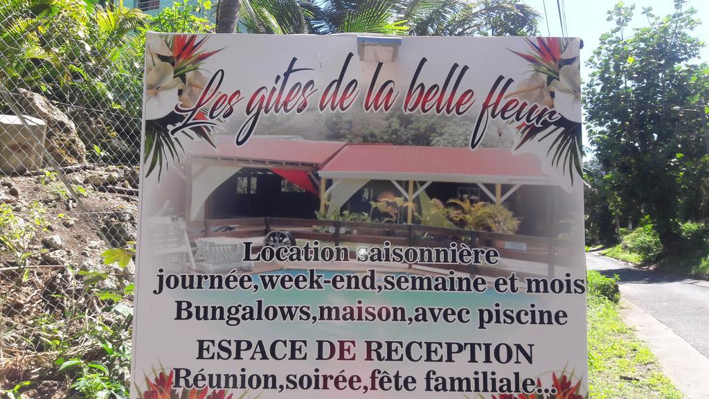 Les De La Belle Fleur Laurier Rose * Le Gosier (Grande-Terre)