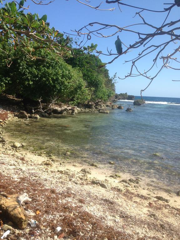 Boston Port Antonio