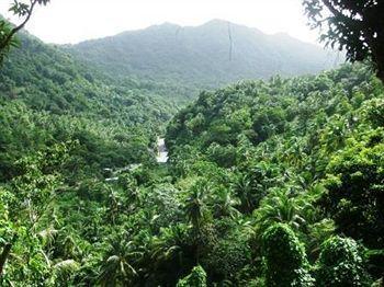 Serenity Dominica *