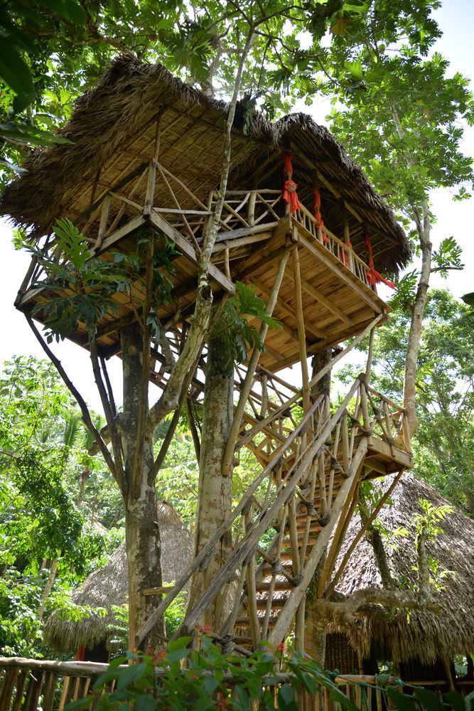 Alojamento Dominican Tree House Village *