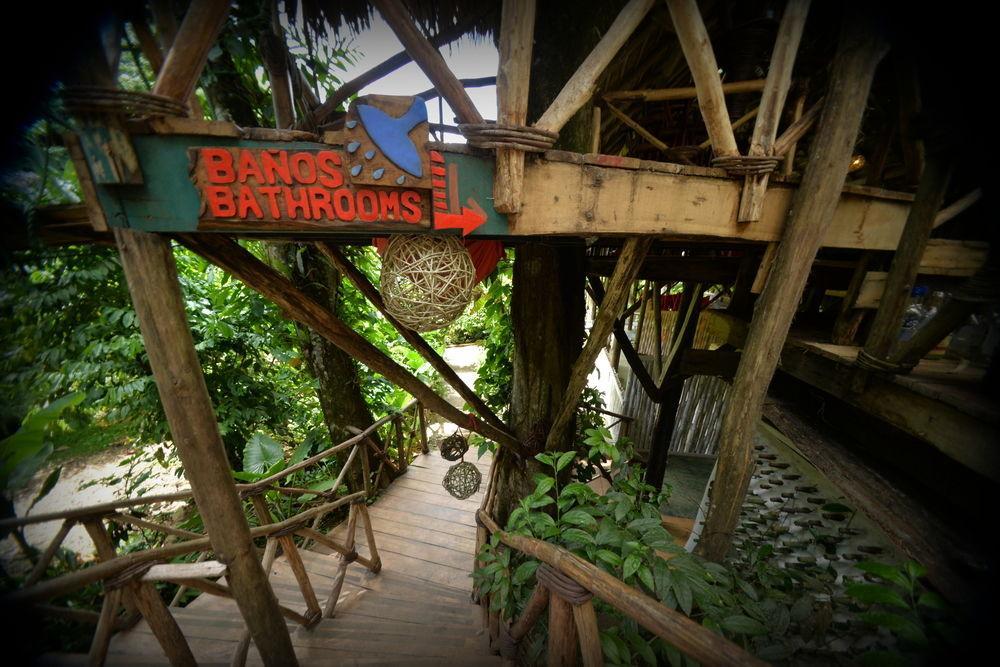 Dominican Tree House Village *