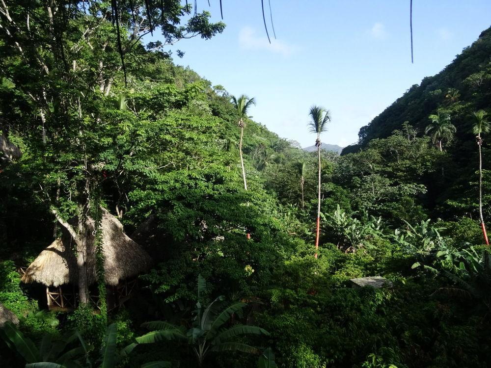 Dominican Tree House Village Alojamento *