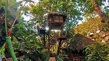 Dominican Tree House Village Alojamento *