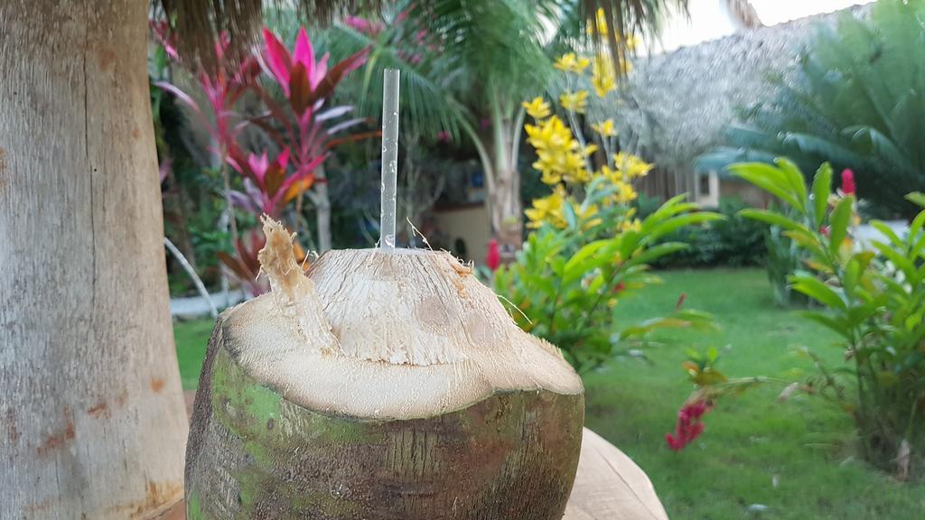Residencia El Balata Aparthotel Las Terrenas