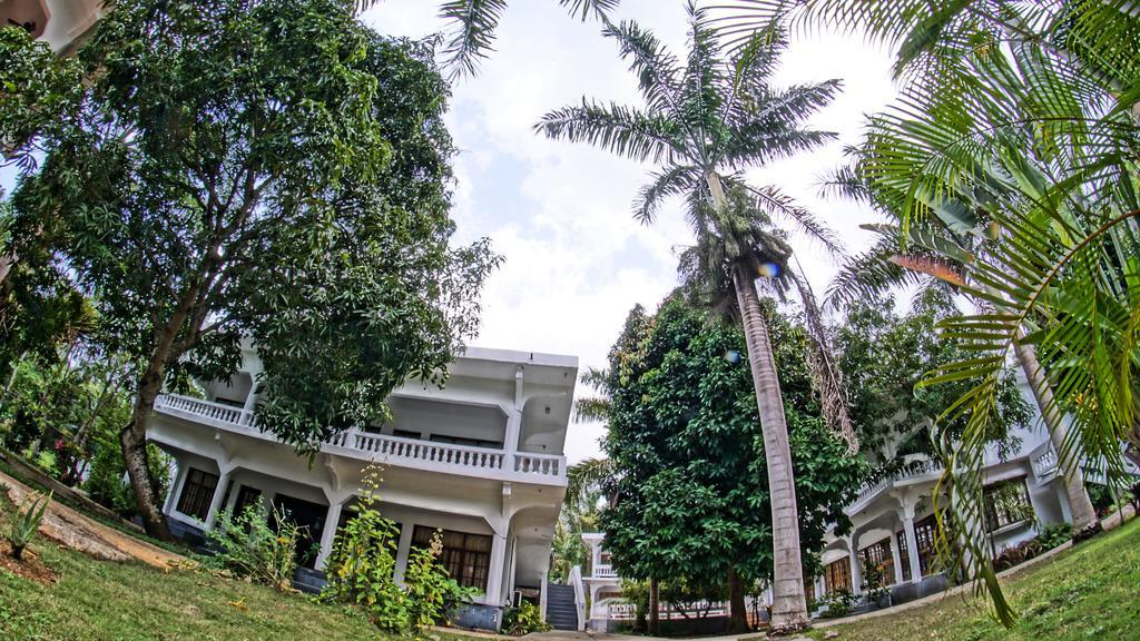 Pure Oasis 3* Negril