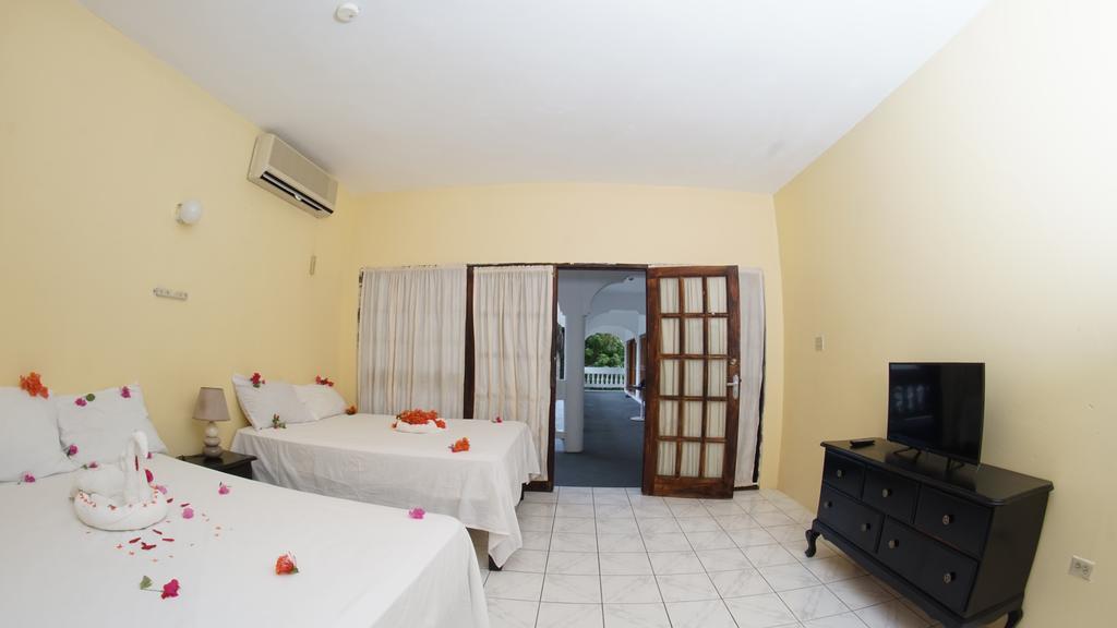 Pure Oasis 3*