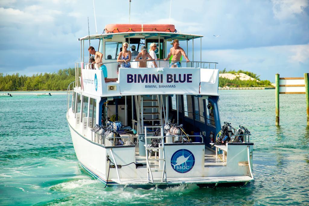 Bimini Big Game Club & Marina