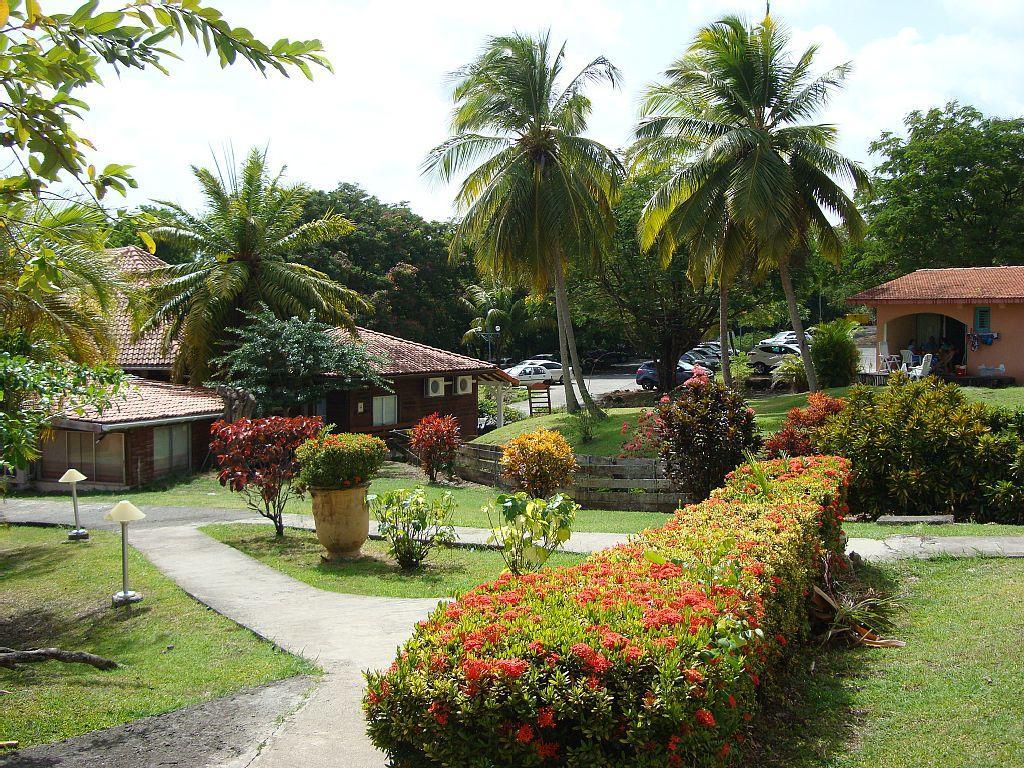 Palm'studio Anse De Caritan Apartment Sainte-Anne