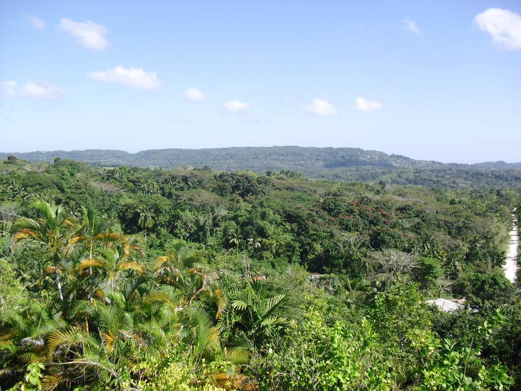 Tamarind Great House Hotel 3*