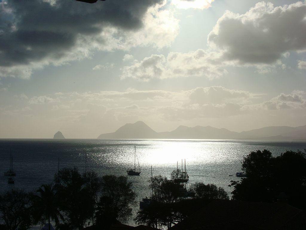 Apartment Palm'studio Anse De Caritan
