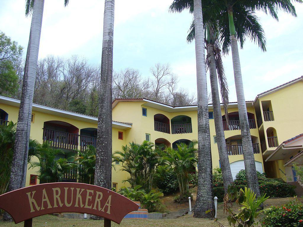 Palm'studio Anse De Caritan