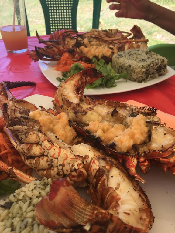 Anse Des Rochers St Francois Ticazcreole Apartment *