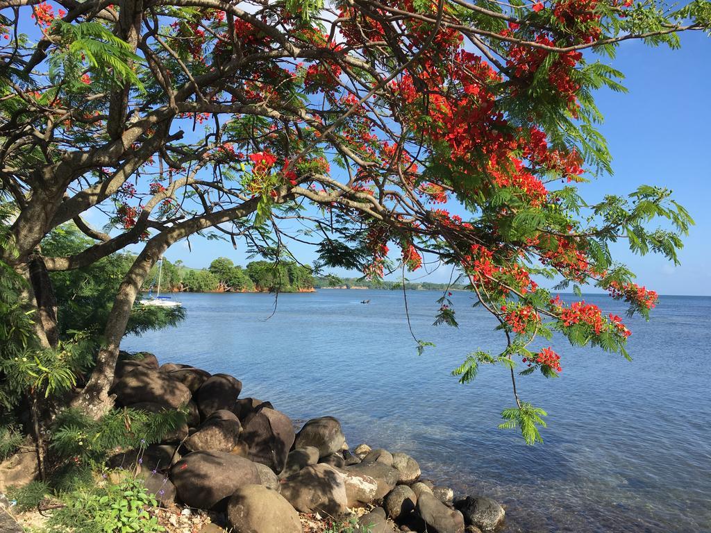 Anse Des Rochers St Francois Ticazcreole Apartment