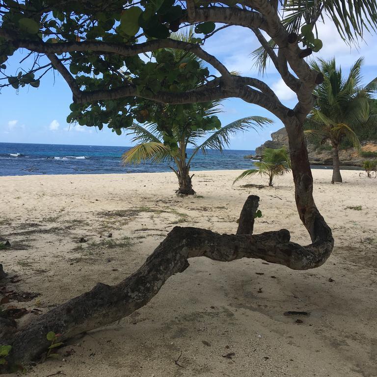 Anse Des Rochers St Francois Ticazcreole * Belle-Allée