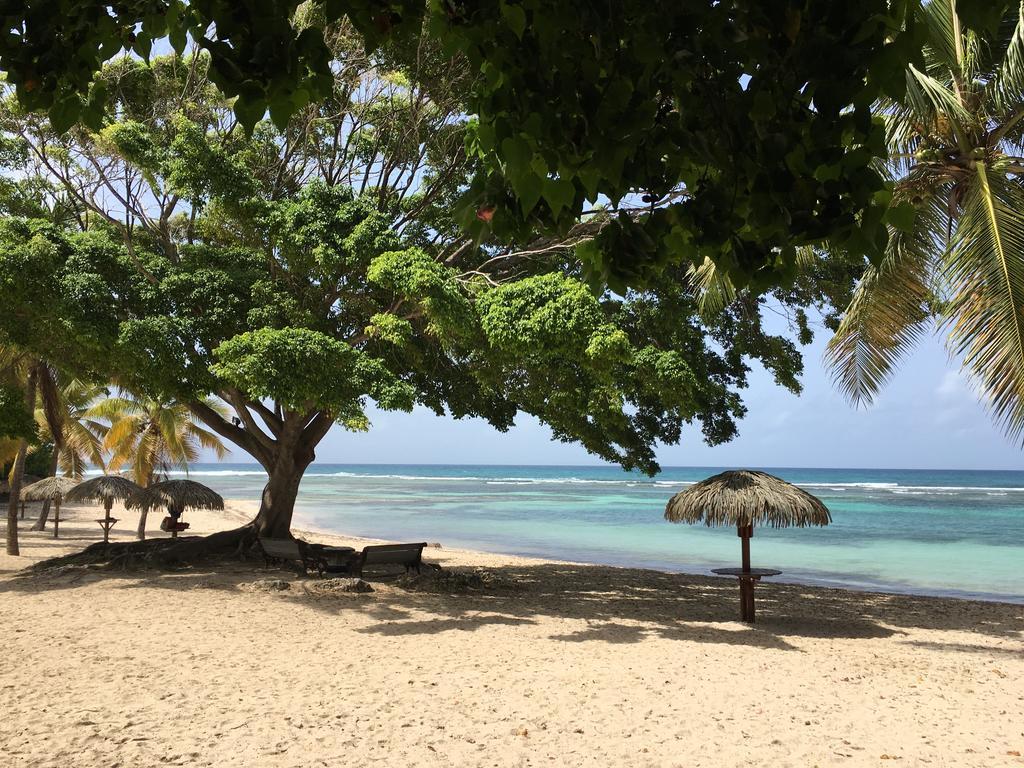 Anse Des Rochers St Francois Ticazcreole Belle-Allée
