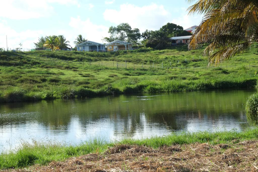 La Ferme Des Etangs Holiday home *