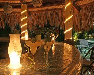 Apartment The Coconut Palms *