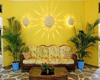 The Coconut Palms *