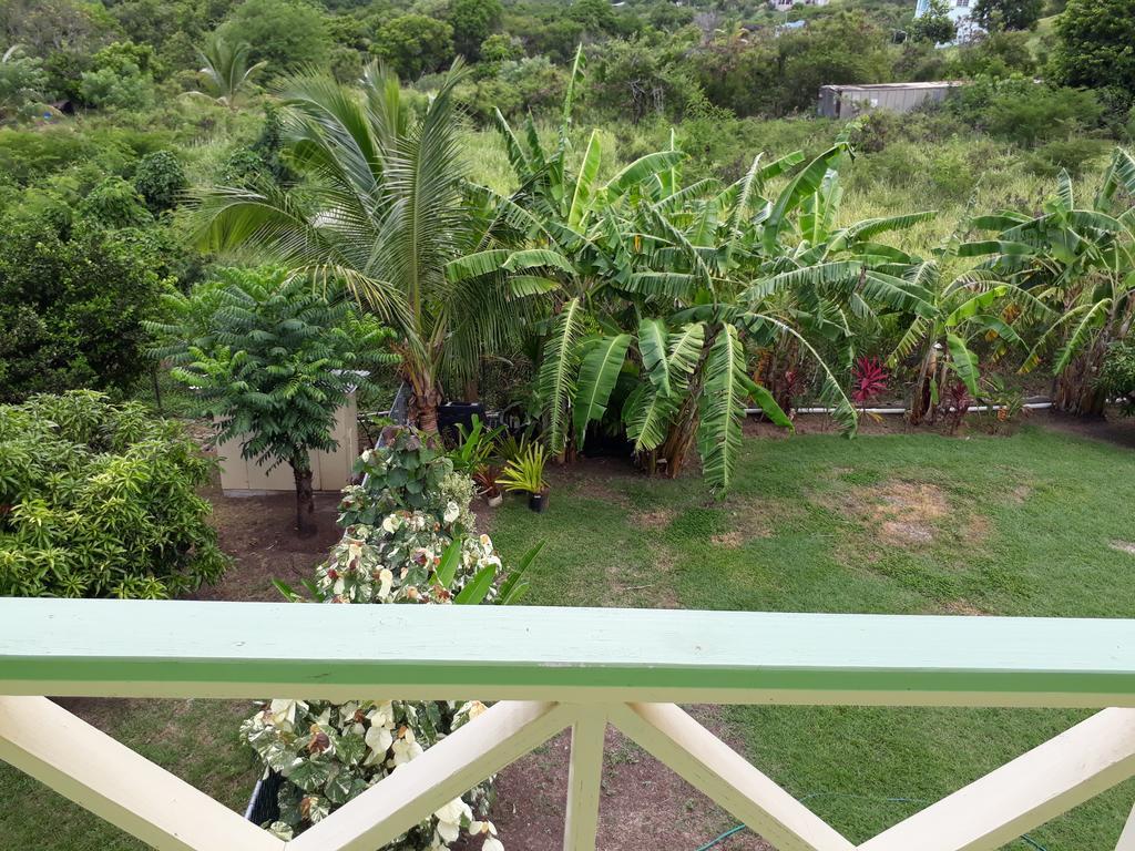 Unforgetable Gardens Falmouth Harbour