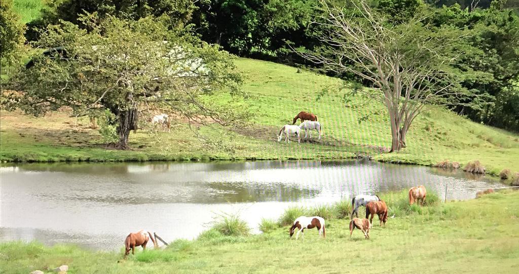 Holiday home La Ferme Des Etangs Riviere-Salee