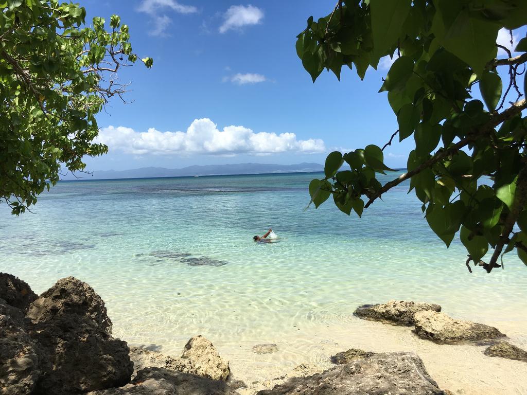 Apartment Coeur De Papillon Baie-Mahault