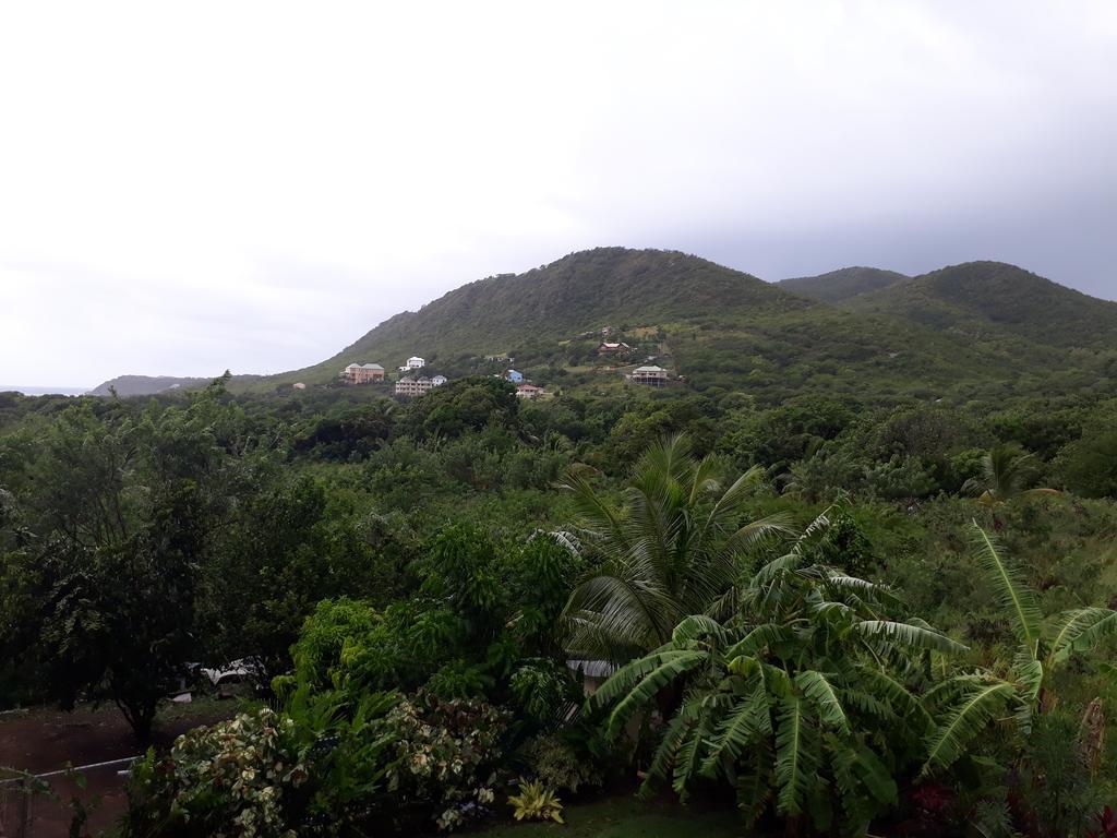 Unforgetable Gardens