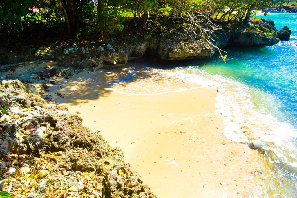 Lemer & Guest house Lucea
