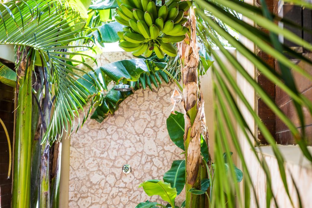 Holiday park Bamboo Bonaire By Boutique Bonaire Unique 4*