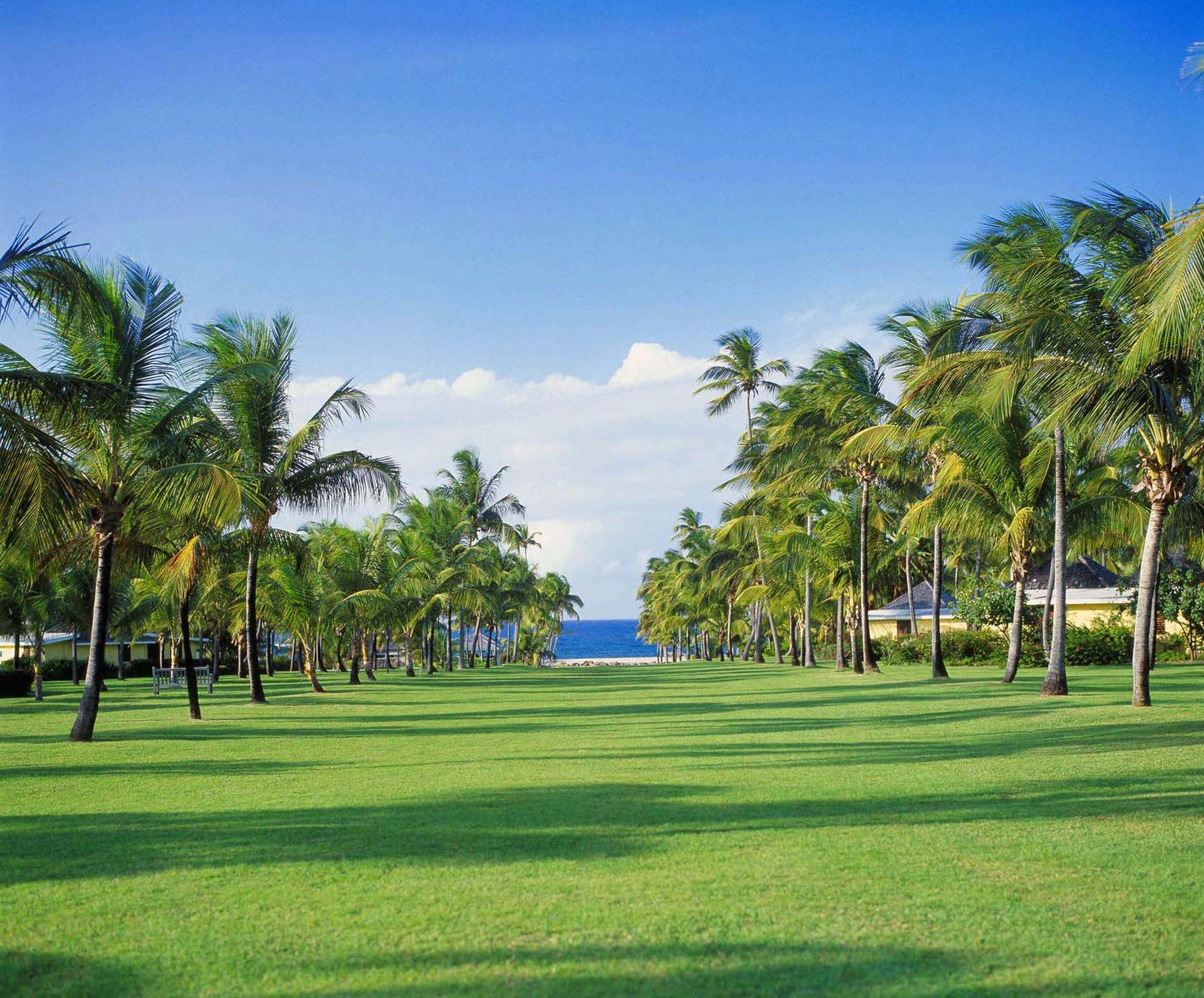 Resort Nisbet Plantation Club Newcastle