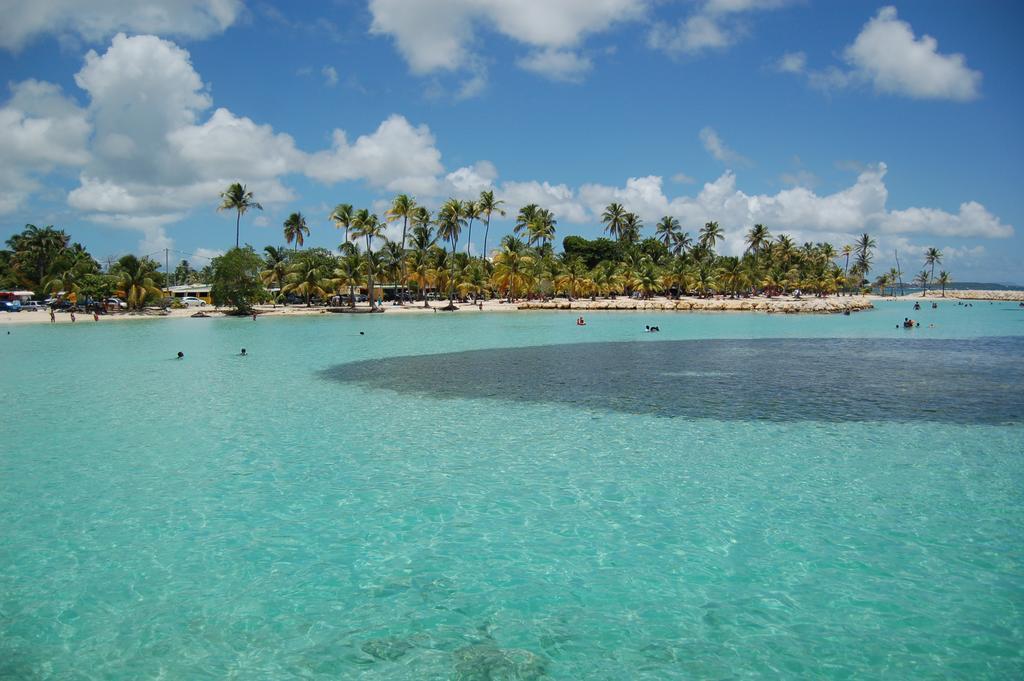 Le Carambolier * Sainte-Anne (Grande-Terre)