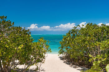 Enclave North Shore Turtle Cove