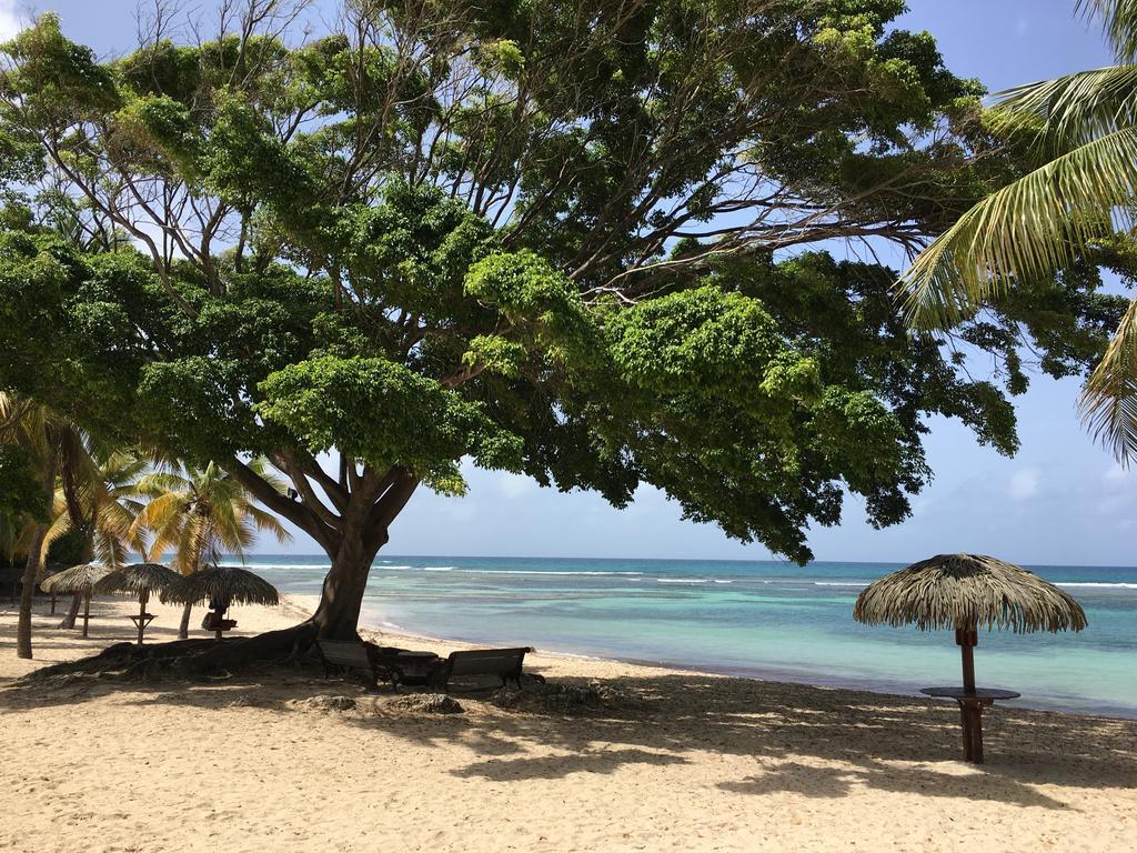 Anse Des Rochers St Francois Ticazcreole *