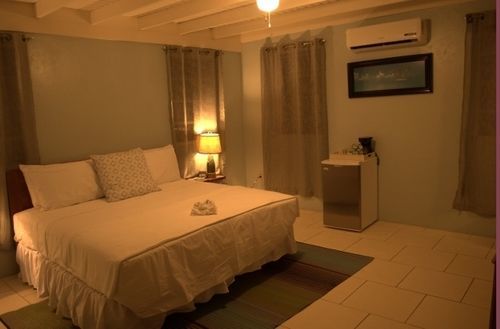 Beef Island Guest House 2*