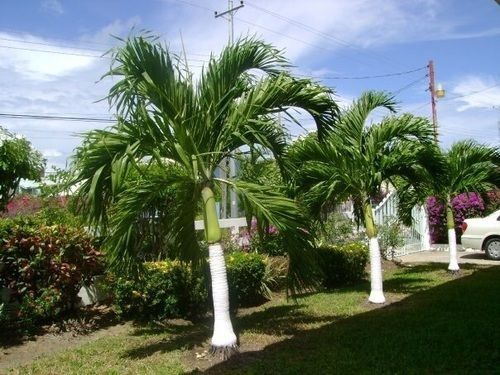 Hotel Restorations Tobago