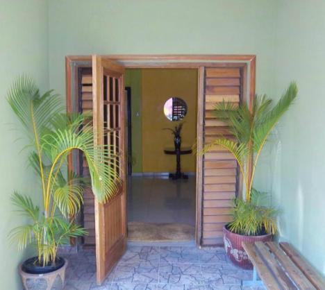 Tropical Court