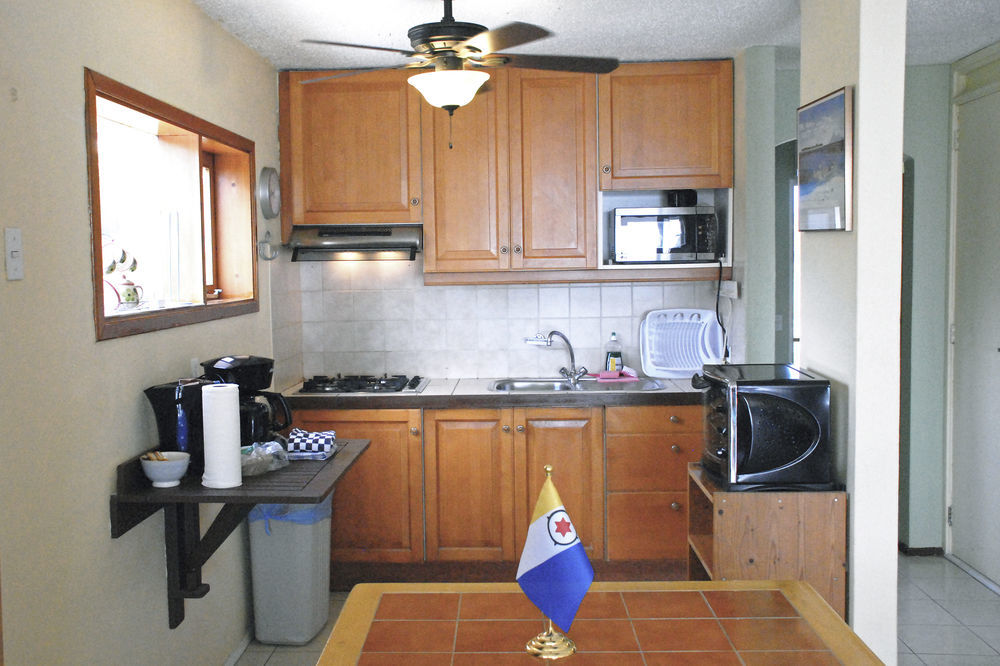 Apartment Bonaire Oceanfront