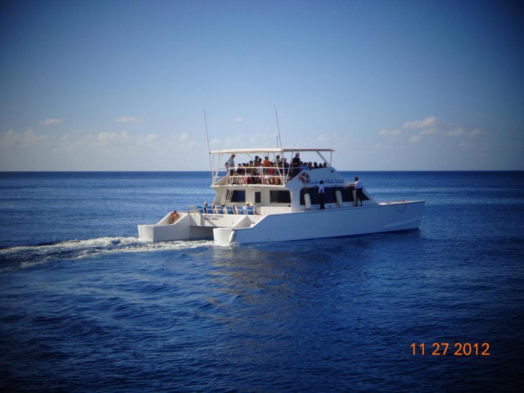 Anchorage Hotel, Whale Watch & Dive Center Guest house Roseau