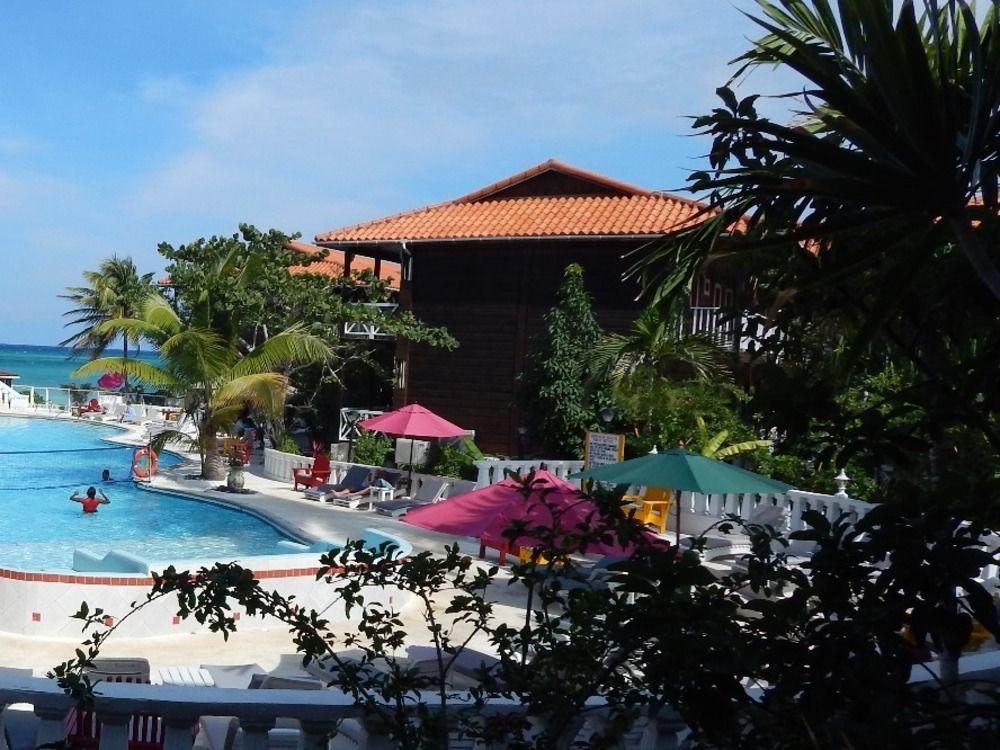 Mangos Jamaica Adults Only Hotel