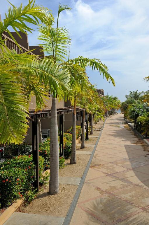 Eden Beach - Bonaire 3* Playa
