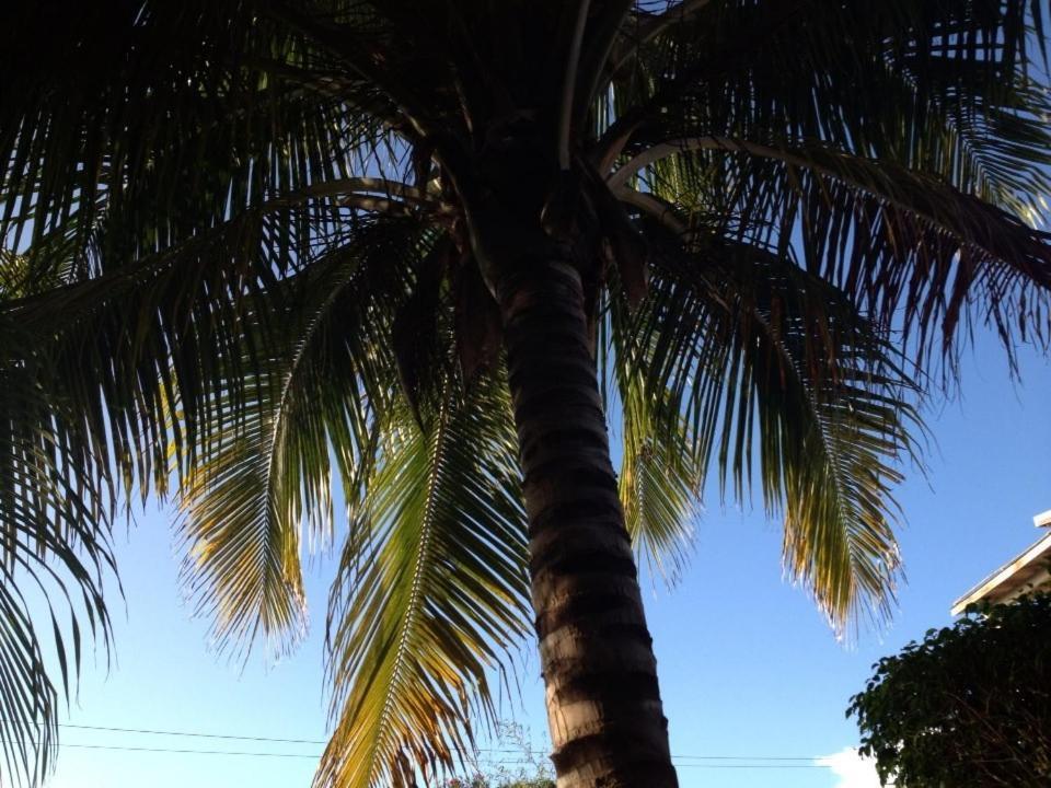 Marblue Treasure Beach